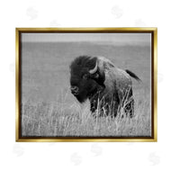 Steve Toole | Bison Grazing in Field