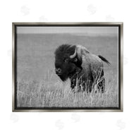 Steve Toole | Bison Grazing in Field