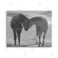 Steve Toole | Horses Hugging Photography