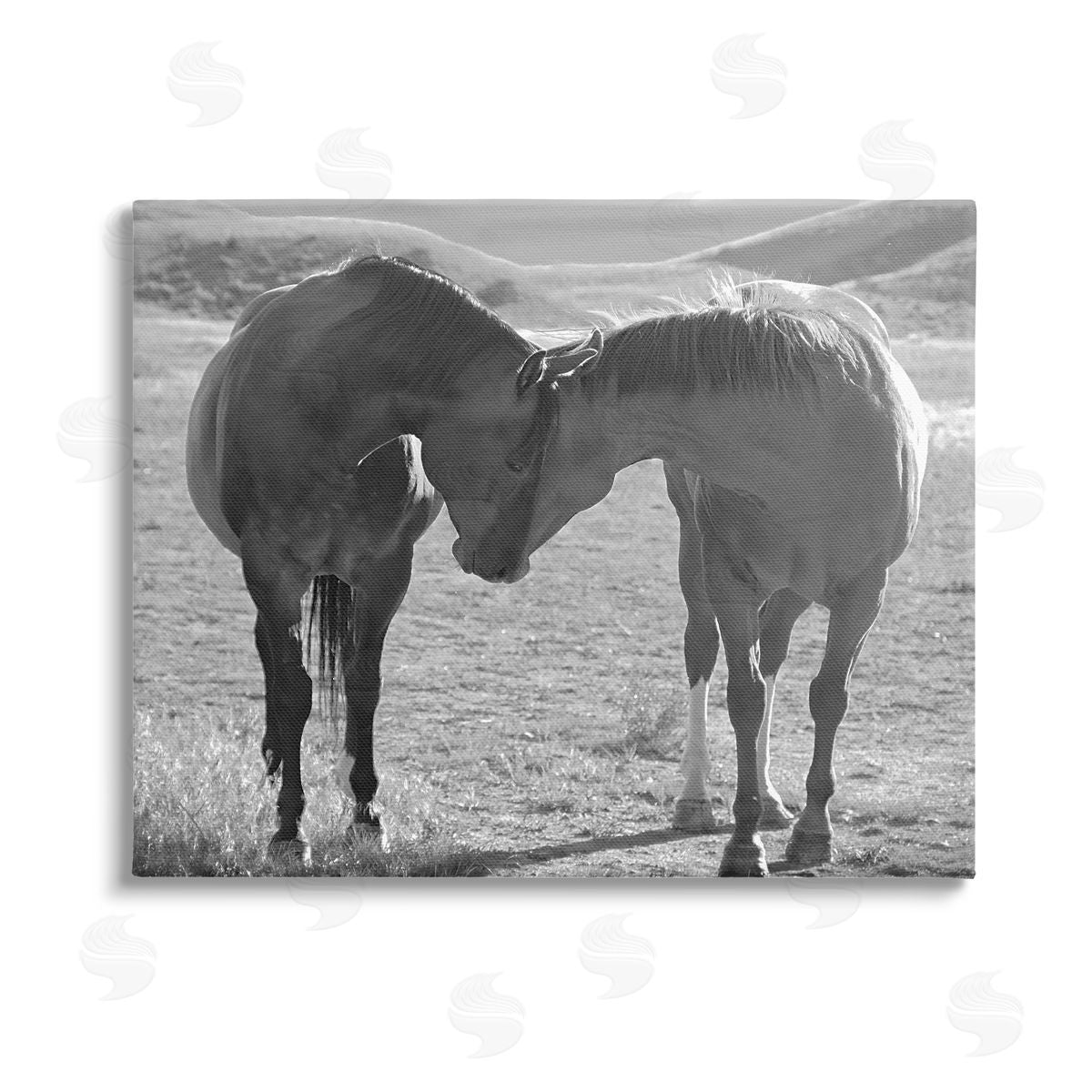 Steve Toole | Horses Hugging Photography