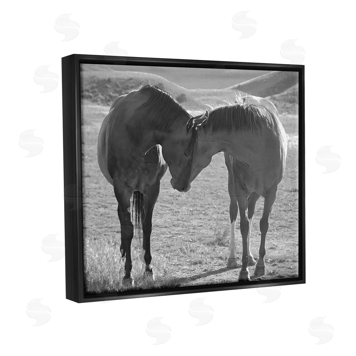 Steve Toole | Horses Hugging Photography