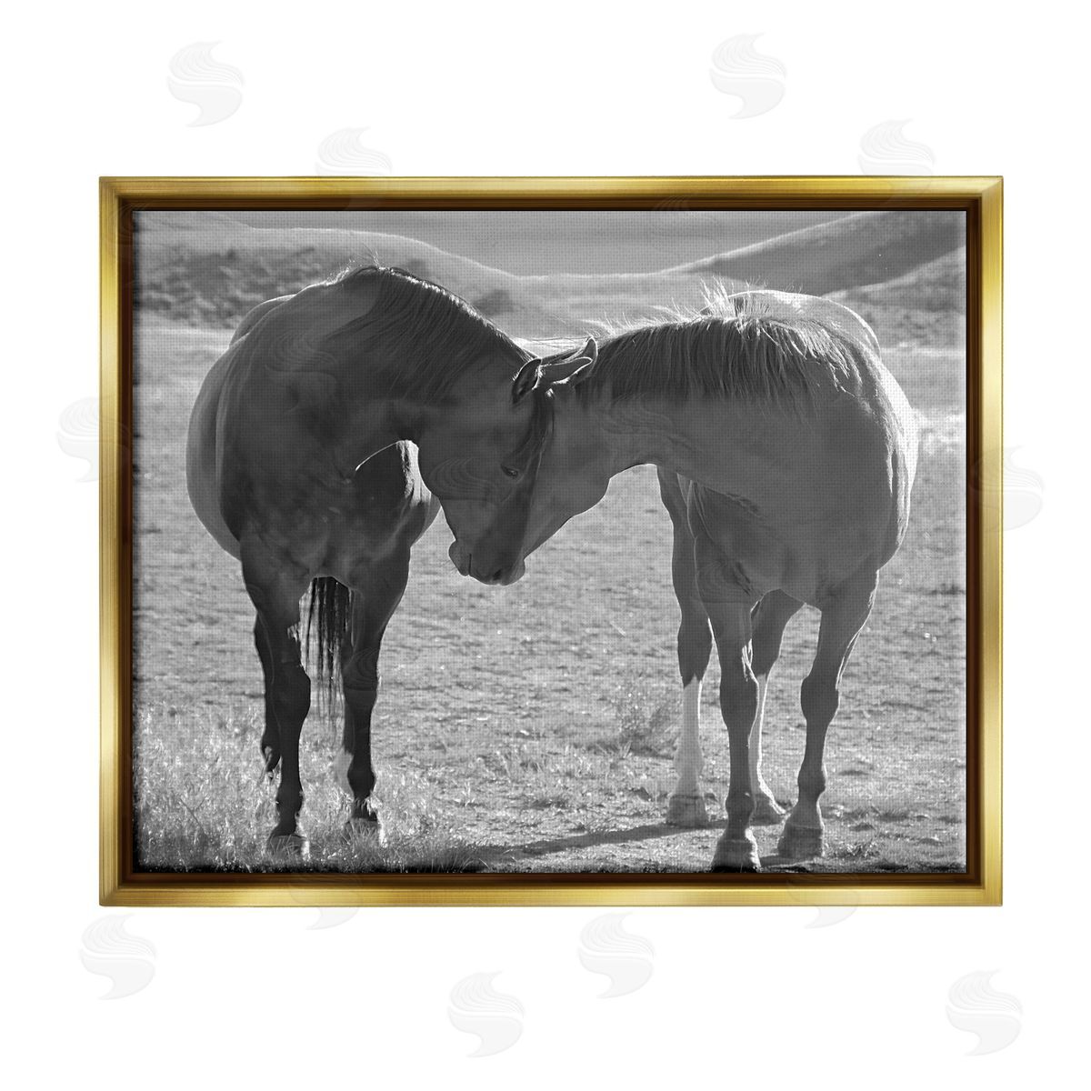 Steve Toole Horses Hugging Photography Gold Floater Frame Canvas Artside_
