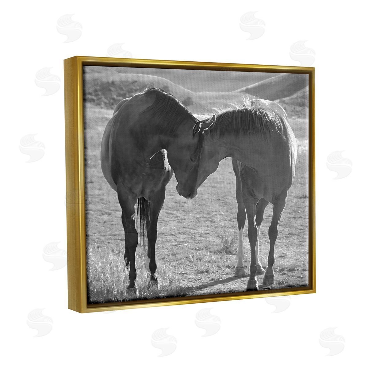 Steve Toole Horses Hugging Photography Gold Floater Frame Canvas Artside_