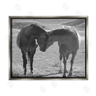 Steve Toole | Horses Hugging Photography