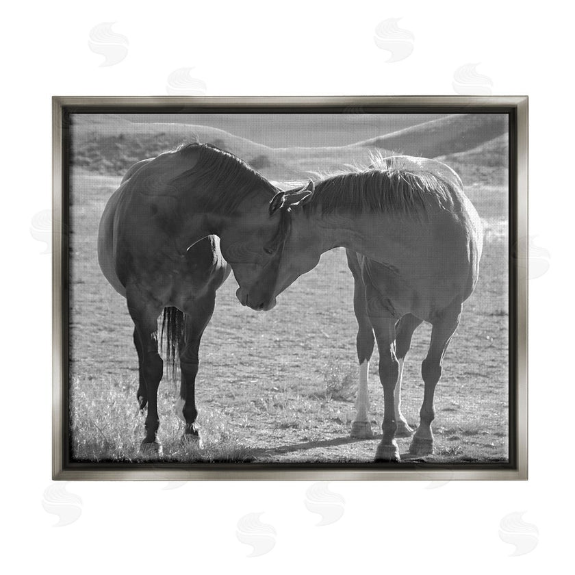 Steve Toole | Horses Hugging Photography