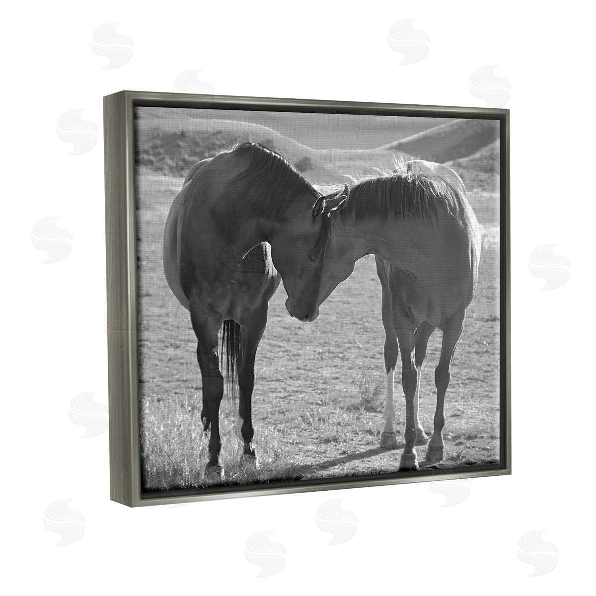 Steve Toole | Horses Hugging Photography