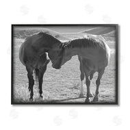 Steve Toole | Horses Hugging Photography