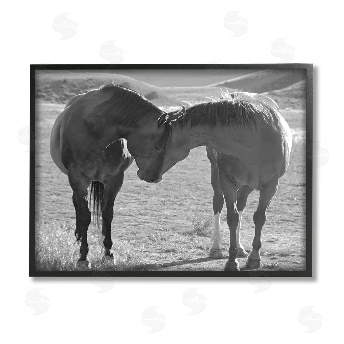 Steve Toole | Horses Hugging Photography