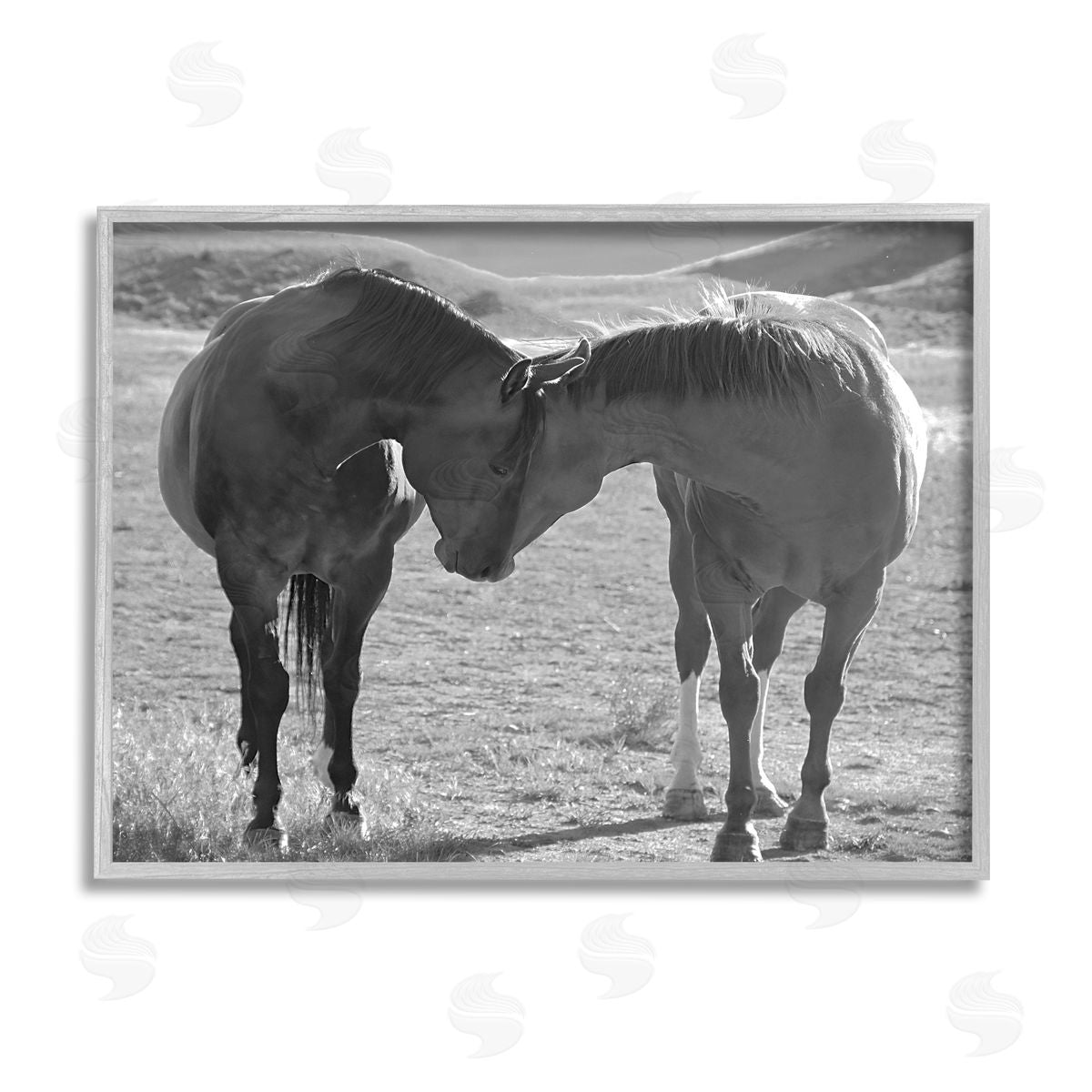 Steve Toole Horses Hugging Photography Gray Framed Giclee Wall Artside_