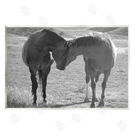 Steve Toole | Horses Hugging Photography