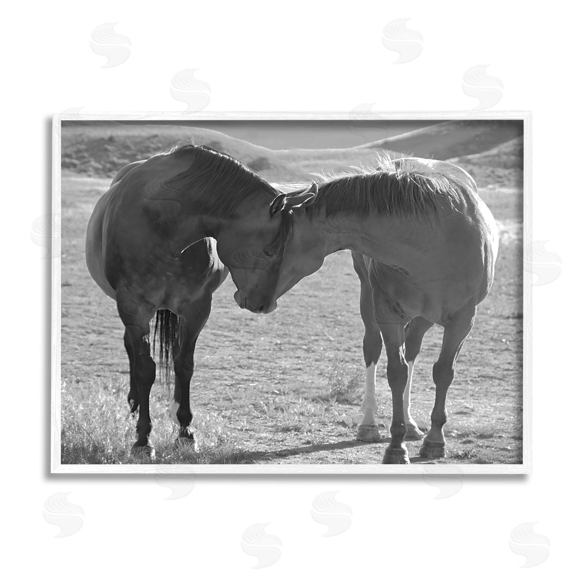 Steve Toole | Horses Hugging Photography