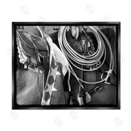 Steve Toole | Equestrian Saddle Photography