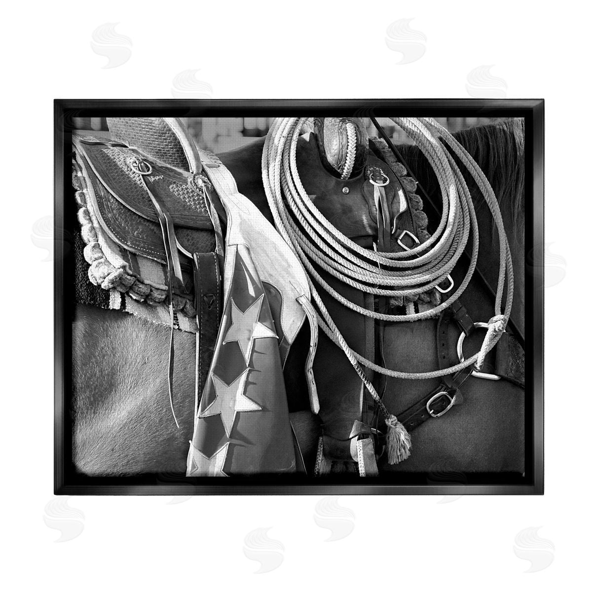 Steve Toole | Equestrian Saddle Photography