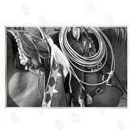 Steve Toole | Equestrian Saddle Photography