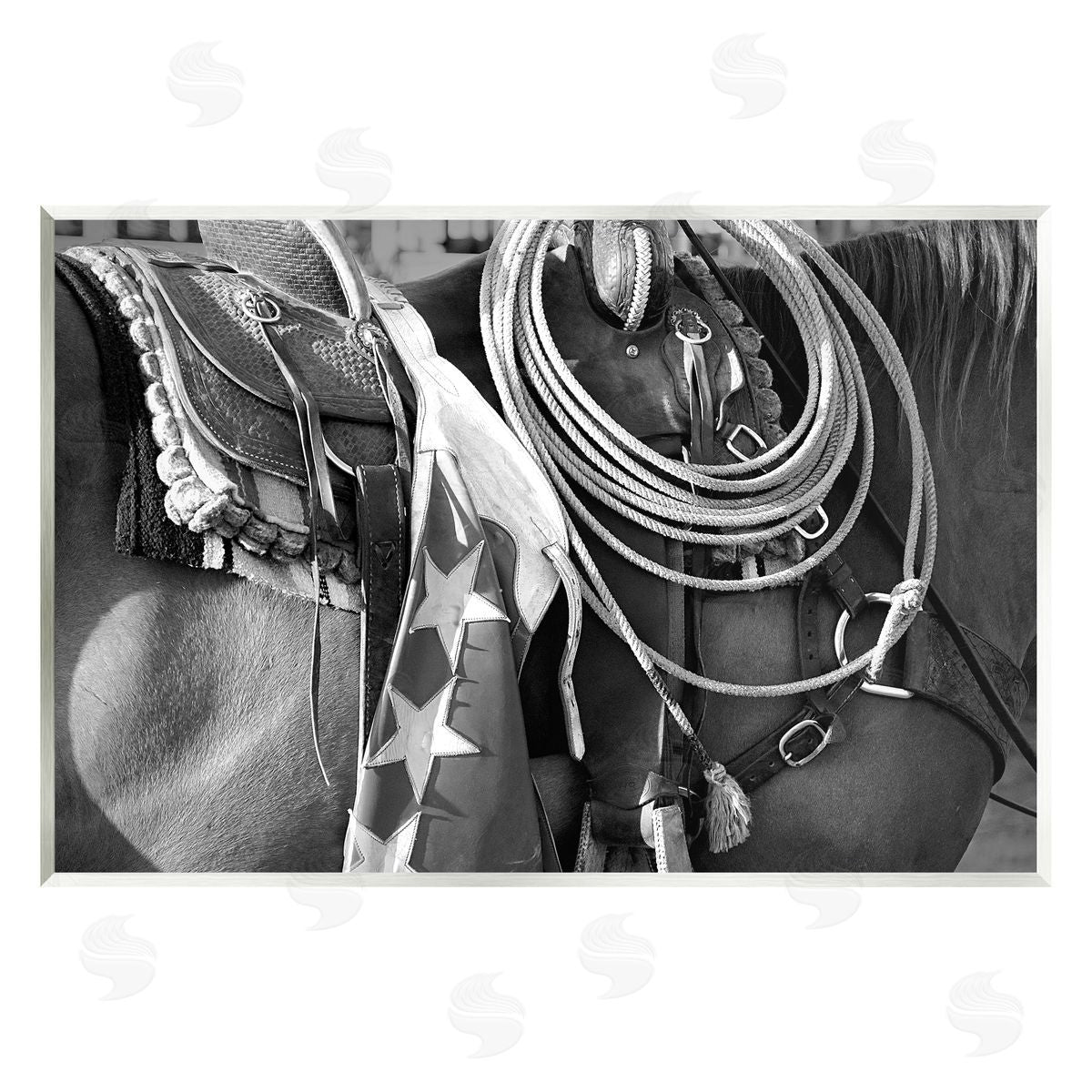 Steve Toole | Equestrian Saddle Photography