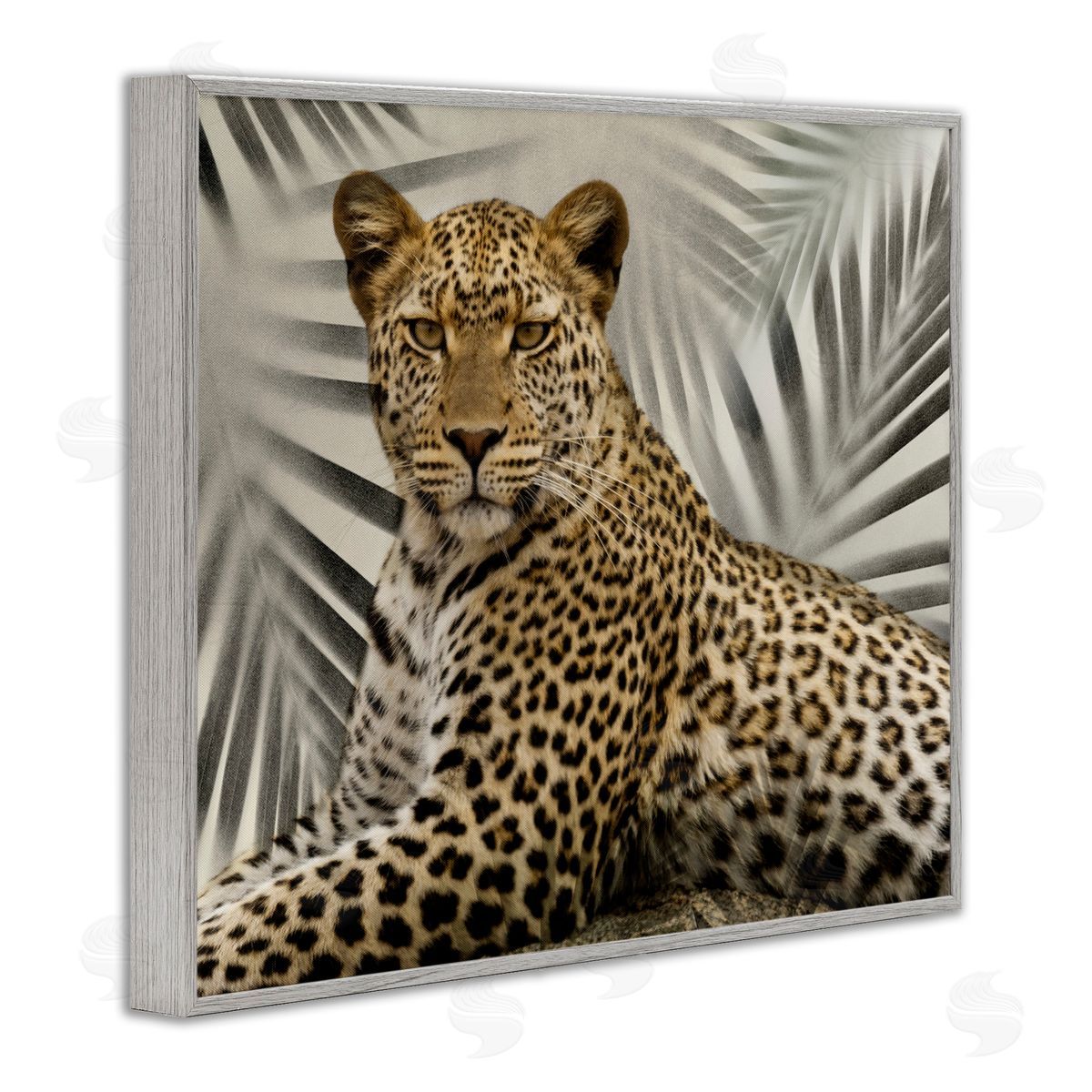Leopard with Palm Fronds Grey Frame Print Wall Art, Home Decor by Danita Delimont