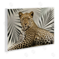 Danita Delimont | Leopard with Palm Fronds