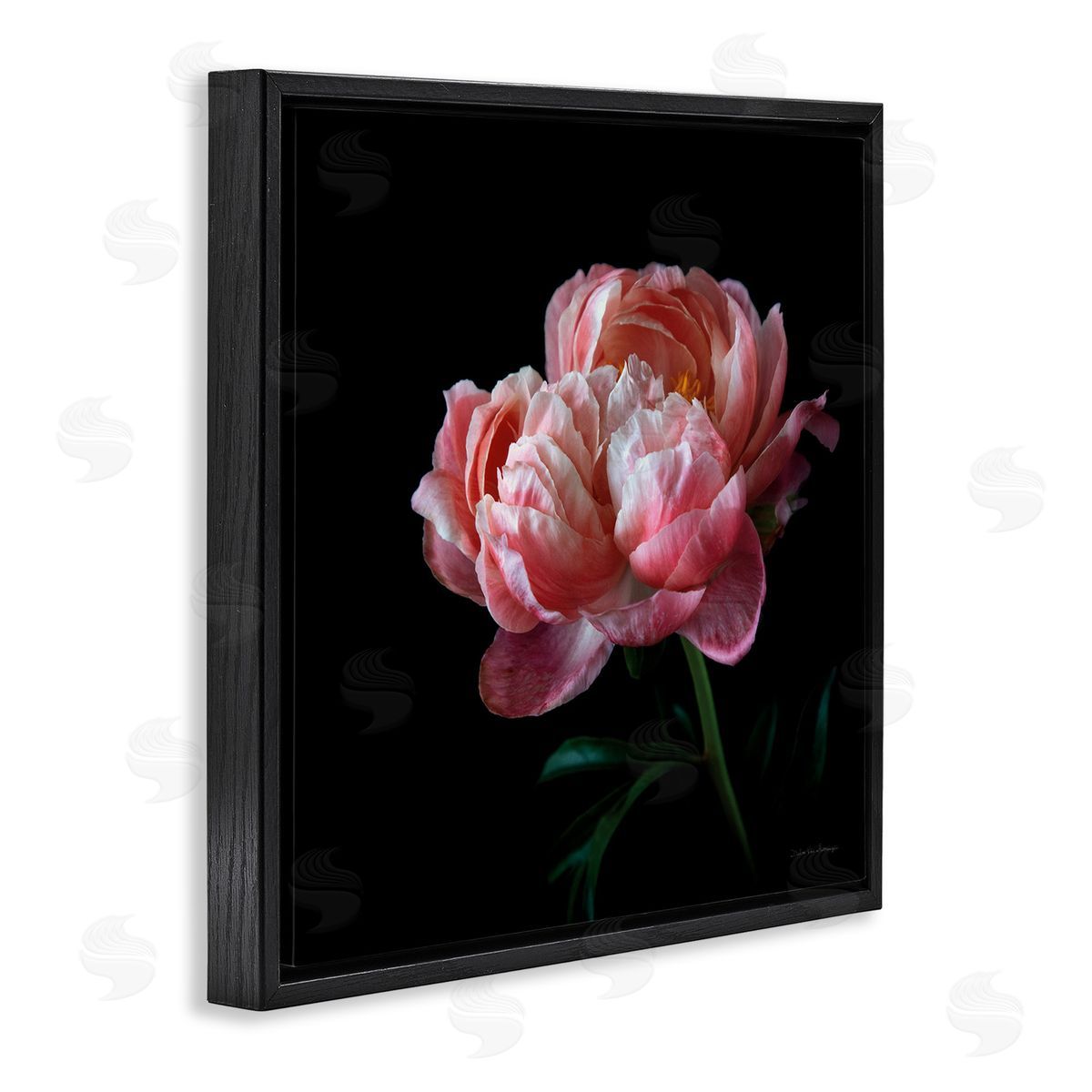 Dark Rose Photography Black Floating Frame Canvas Wall Art, Home Decor by Debra Van Swearingen