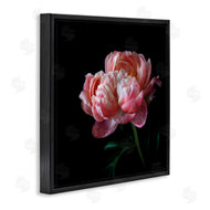 Debra Van Swearingen | Dark Rose Photography