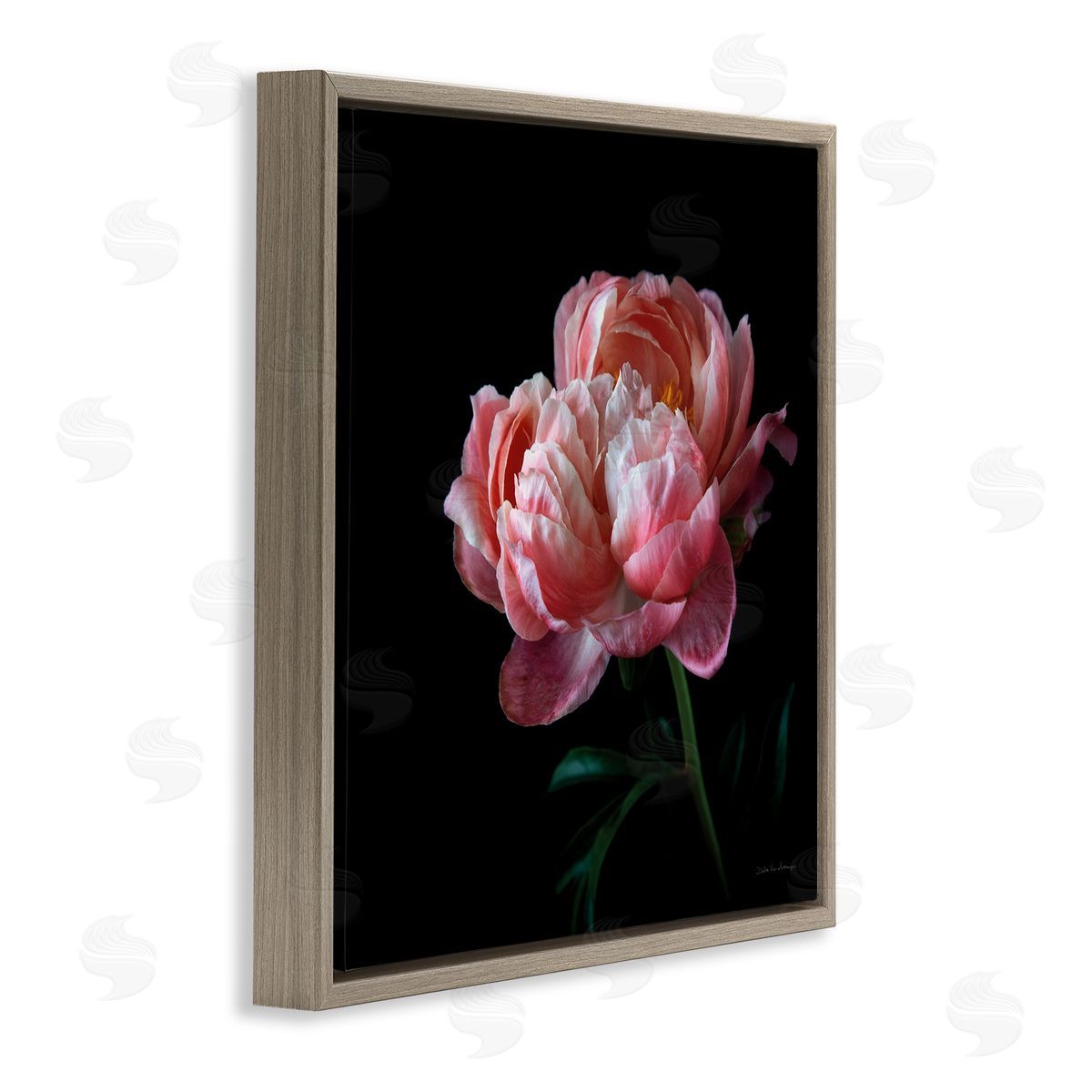 Dark Rose Photography Brown Floating Frame Canvas Wall Art, Home Decor by Debra Van Swearingen