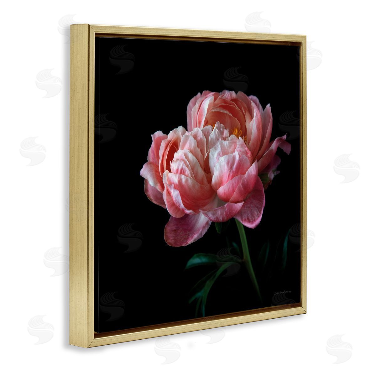 Dark Rose Photography Gold Floating Frame Canvas Wall Art, Home Decor by Debra Van Swearingen
