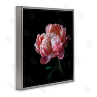 Debra Van Swearingen | Dark Rose Photography