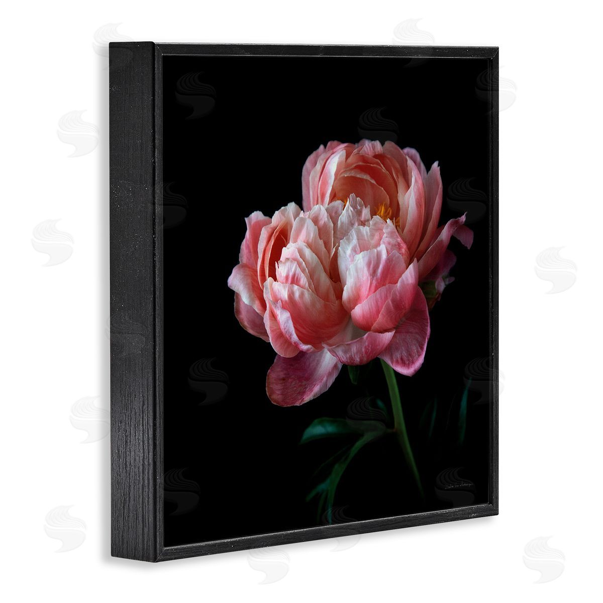 Dark Rose Photography Black Frame Print Wall Art, Home Decor by Debra Van Swearingen