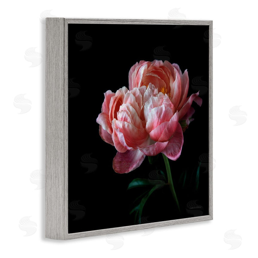 Debra Van Swearingen | Dark Rose Photography