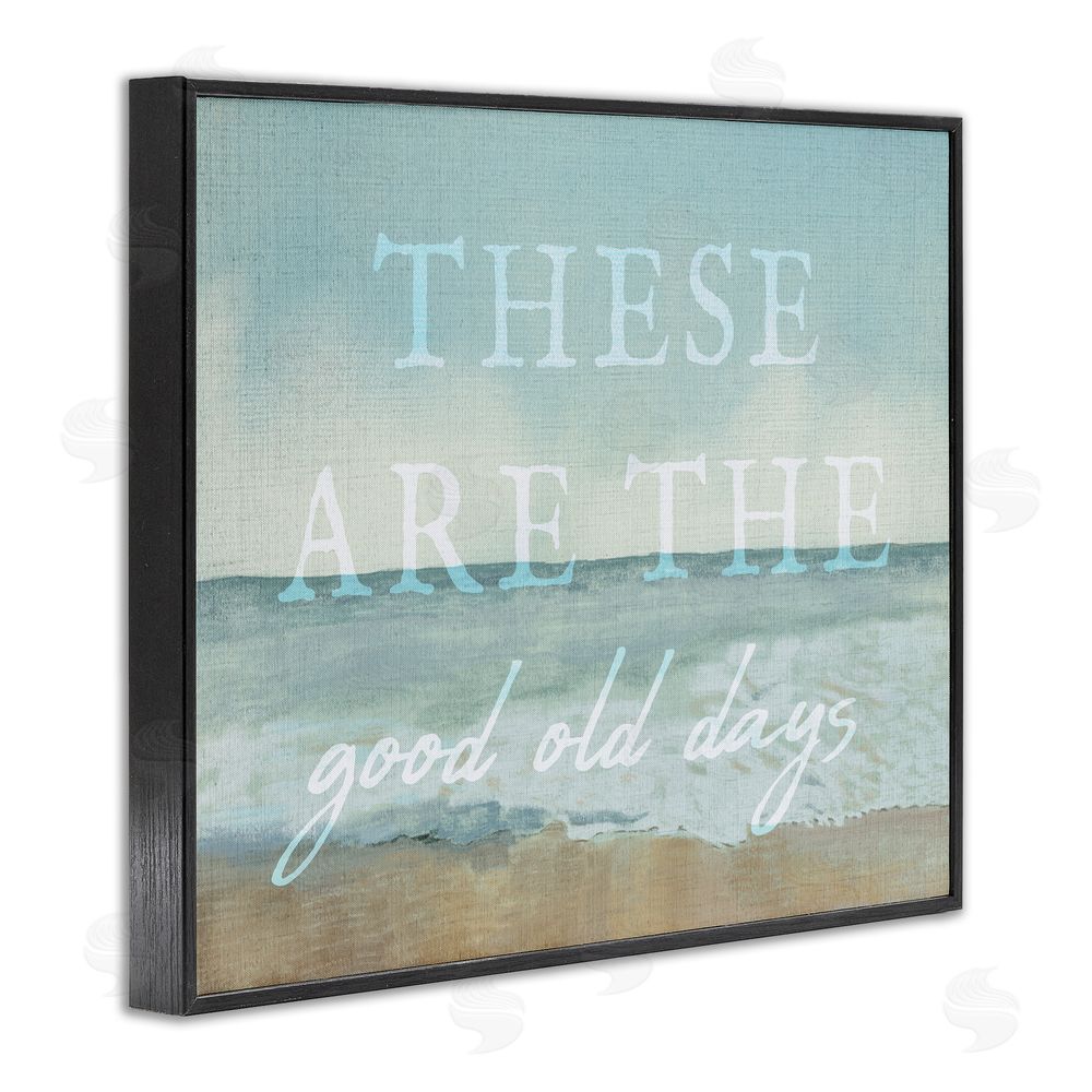 Stupell Studio Good Days Coastal Phrase Black Framed Giclee Wall Art Print