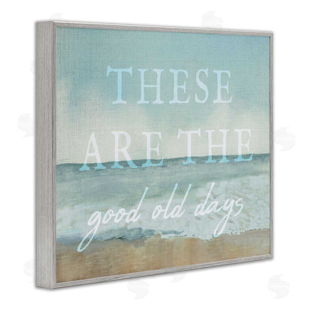 Stupell Studio Good Days Coastal Phrase Gray Framed Giclee Wall Art Print