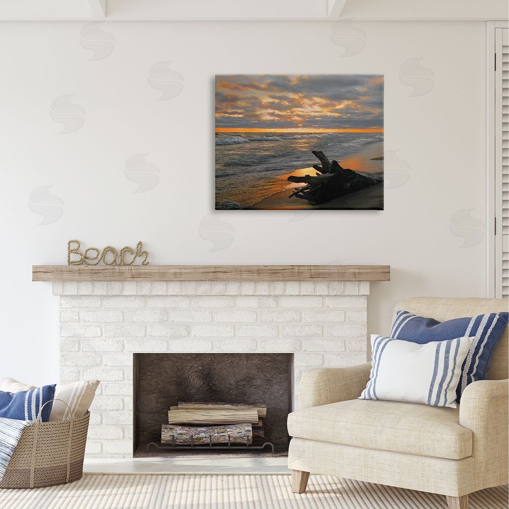 Steve Toole Driftwood at Sunset Canvas Wall Art Print in Room