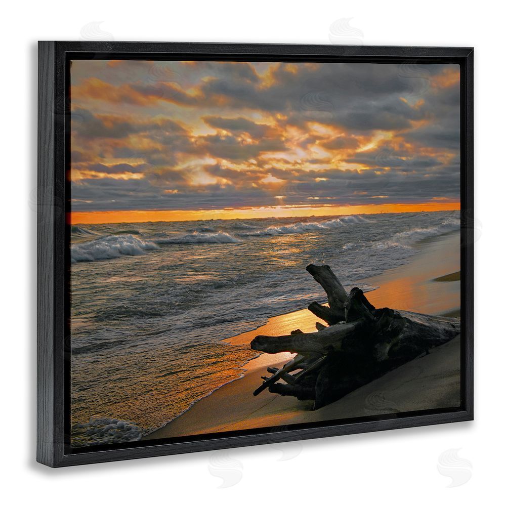 Steve Toole Driftwood at Sunset Black Floating Frame Canvas Wall Art Print
