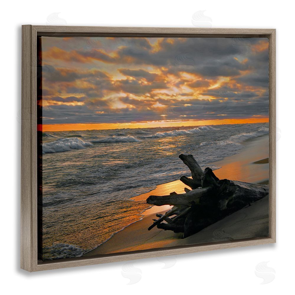Steve Toole Driftwood at Sunset Brown Floating Frame Canvas Wall Art Print