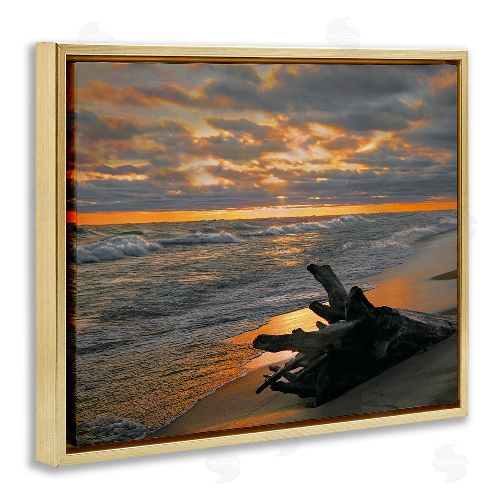 Steve Toole Driftwood at Sunset Gold Floating Frame Canvas Wall Art Print