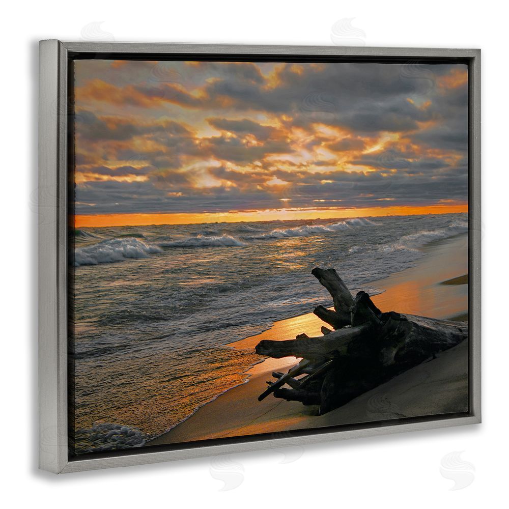 Steve Toole Driftwood at Sunset Grey Floating Frame Canvas Wall Art Print
