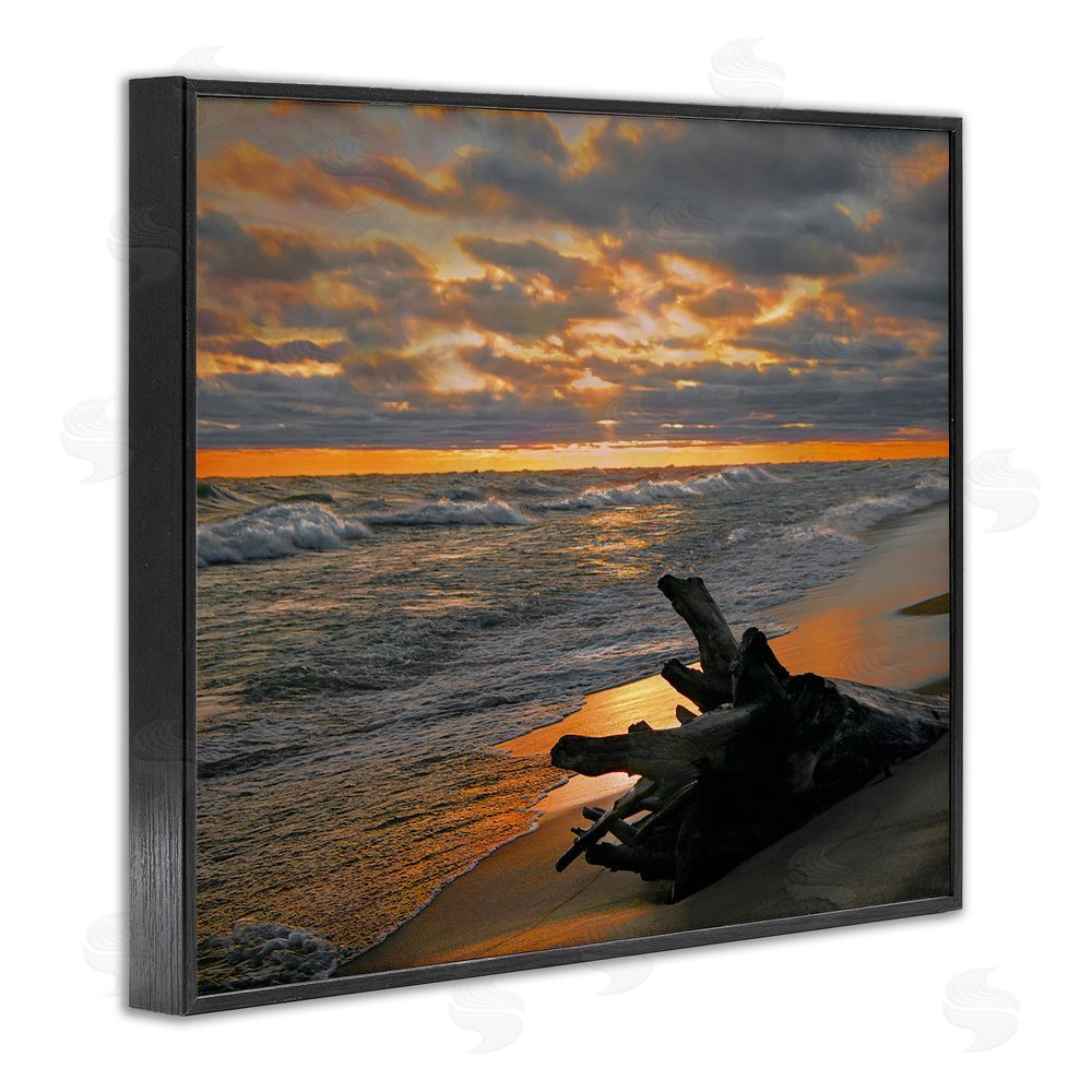 Steve Toole Driftwood at Sunset Black Framed Giclee Wall Art Print