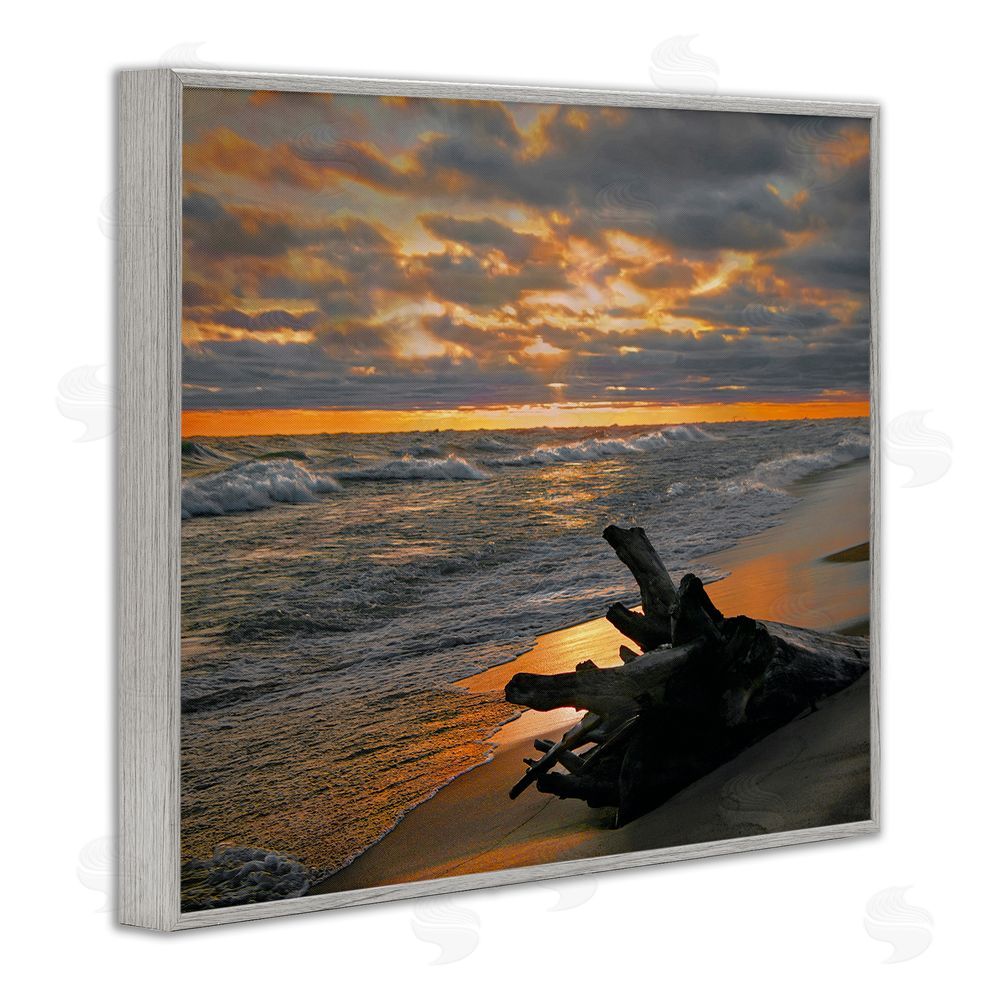 Steve Toole Driftwood at Sunset Gray Framed Giclee Wall Art Print