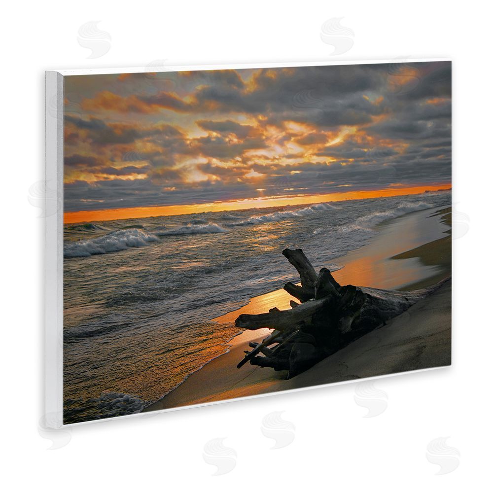 Steve Toole Driftwood at Sunset Wall Plaque Art Print