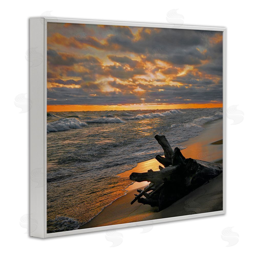 Steve Toole Driftwood at Sunset White Framed Giclee Wall Art Print