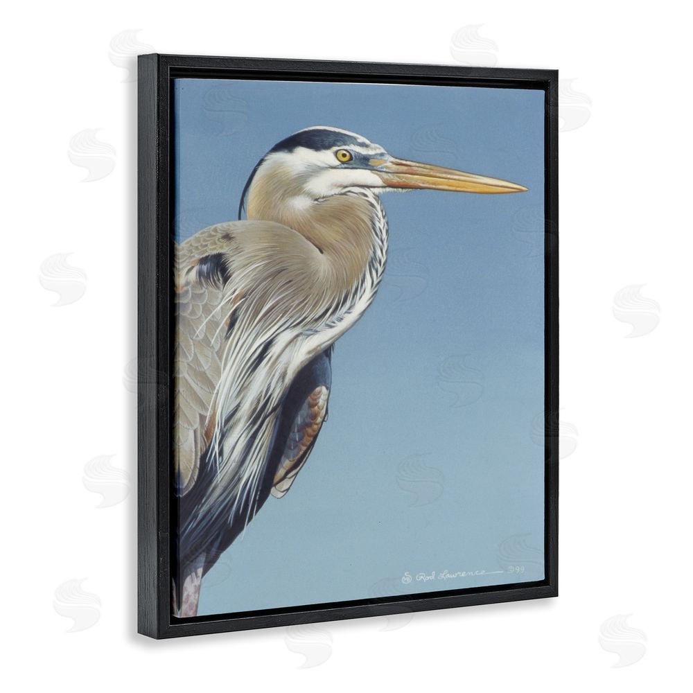 Rod Lawrence Heron Portrait on Blue Black Floating Frame Canvas Wall Art Print