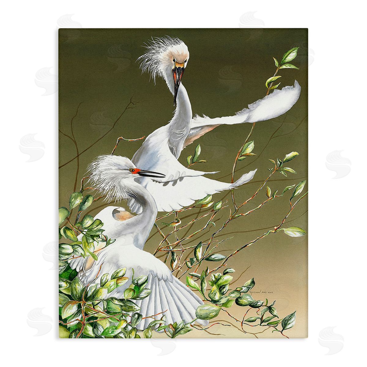 Christine Reichow Egrets Flapping Wings