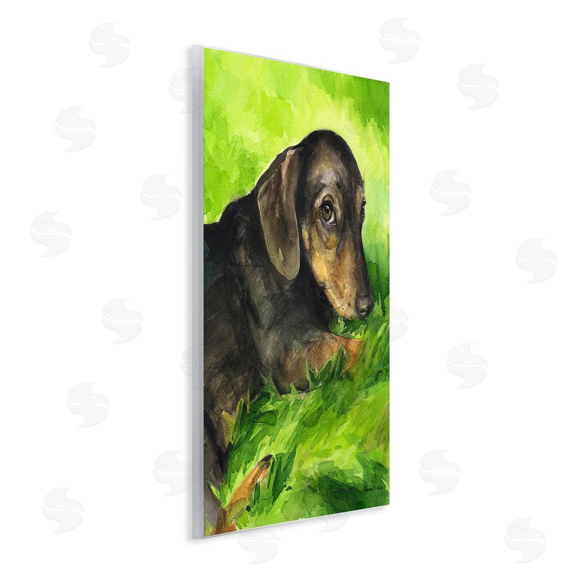 George Dyachenko Dachshund Relaxing in Grass