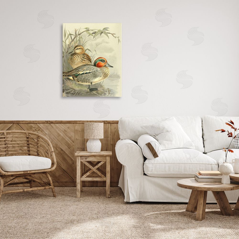 Gail fr_sideaser Ducks with Pond Botanicals