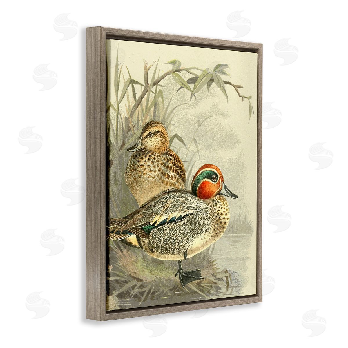 Gail fr_sideaser Ducks with Pond Botanicals