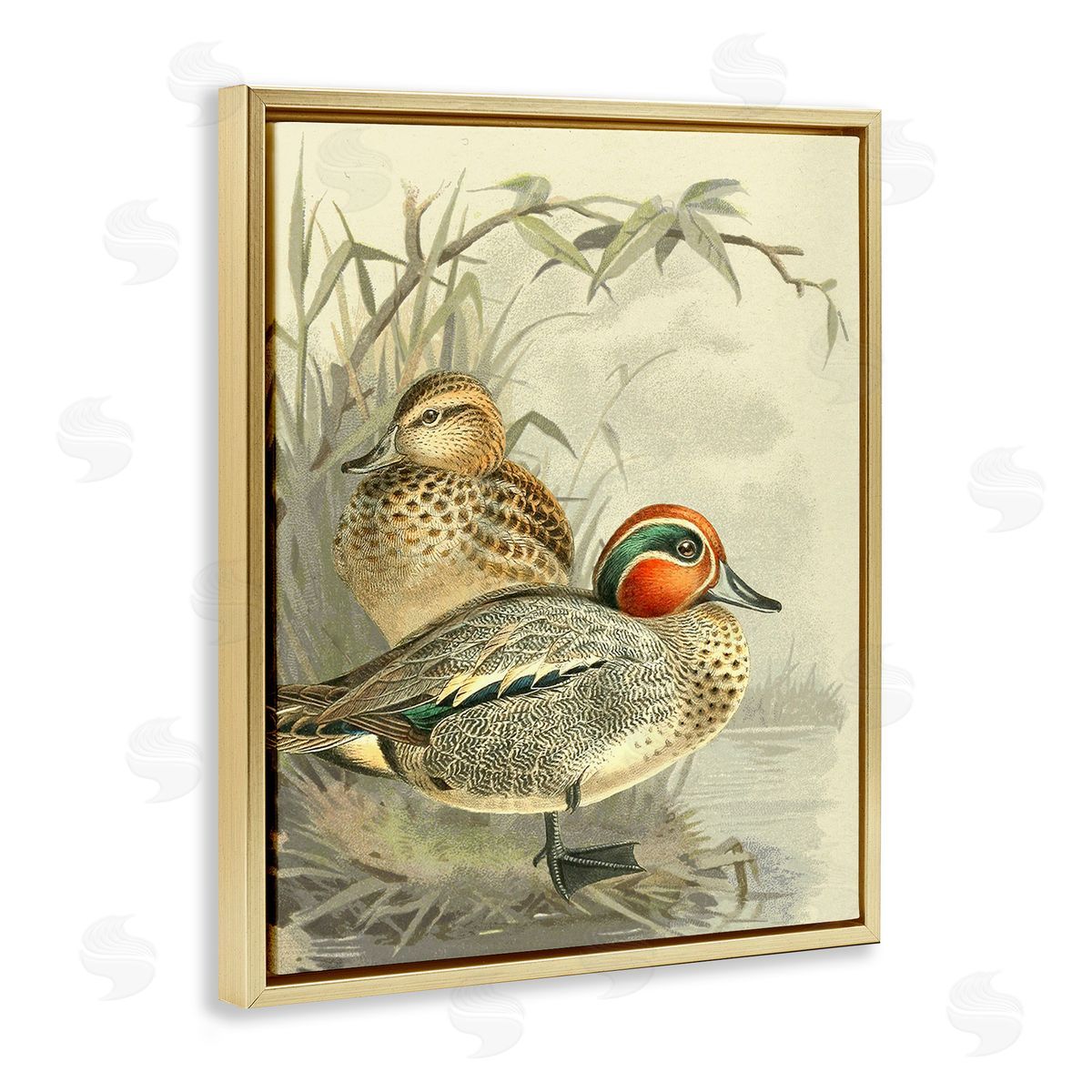 Gail fr_sideaser Ducks with Pond Botanicals