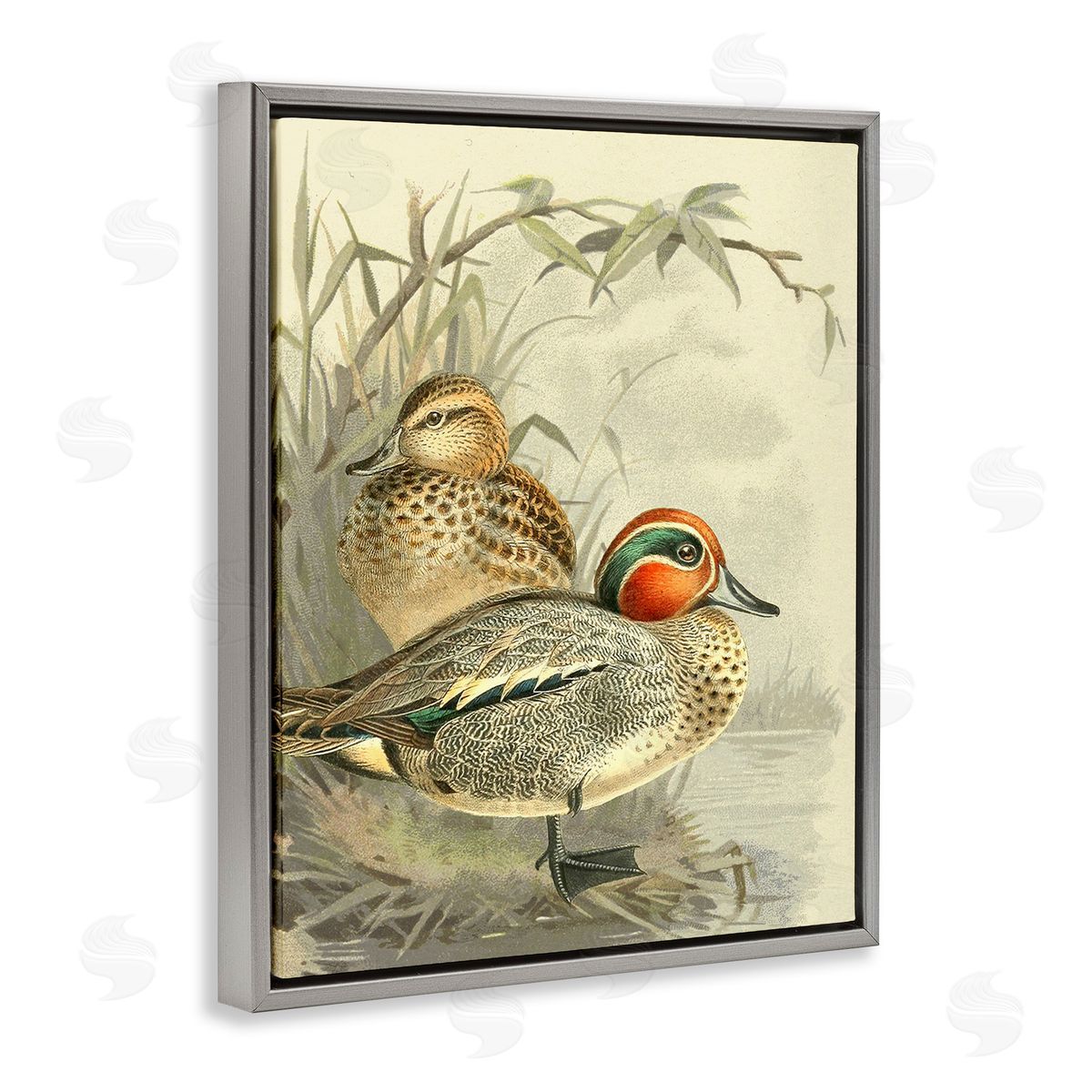 Gail fr_sideaser Ducks with Pond Botanicals