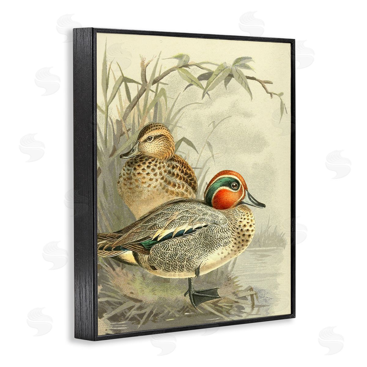 Gail fr_sideaser Ducks with Pond Botanicals