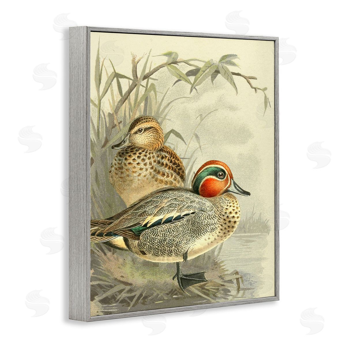 Gail fr_sideaser Ducks with Pond Botanicals