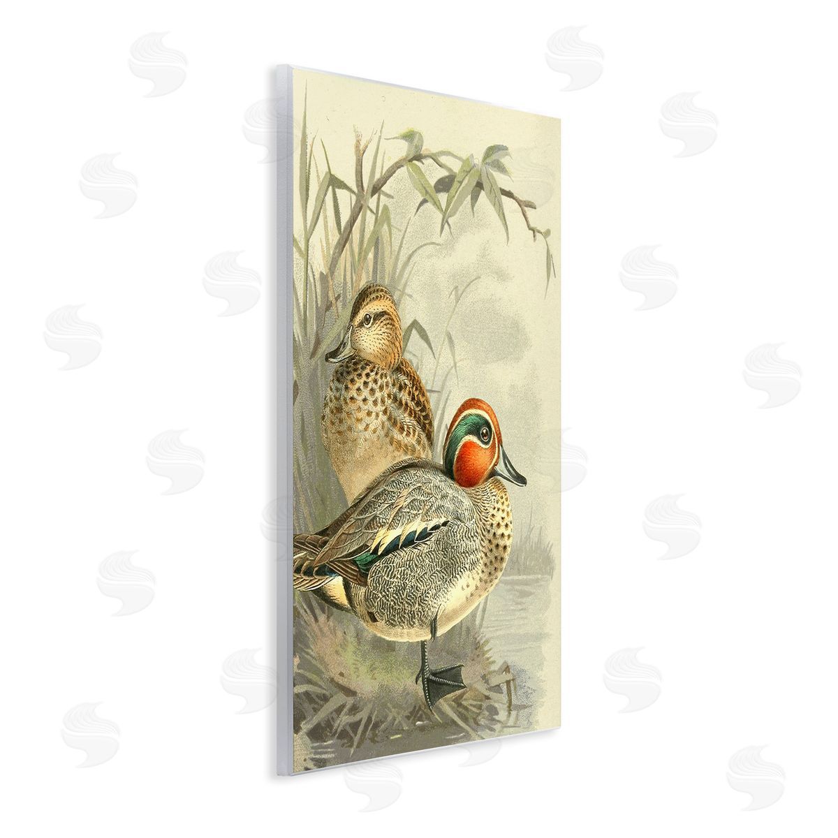 Gail fr_sideaser Ducks with Pond Botanicals