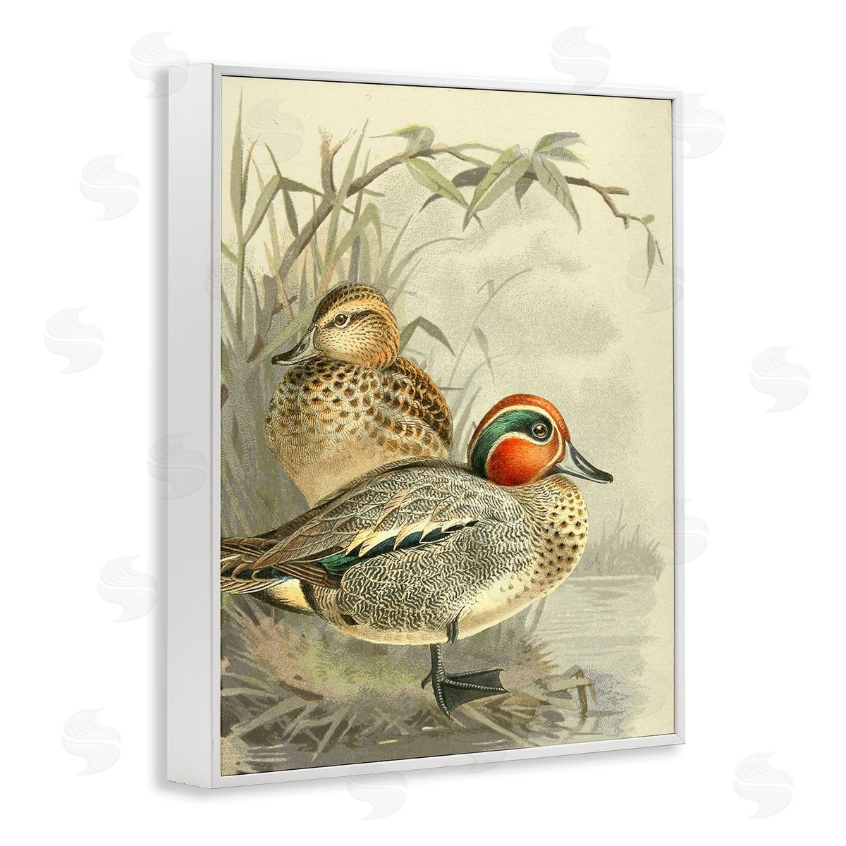 Gail fr_sideaser Ducks with Pond Botanicals